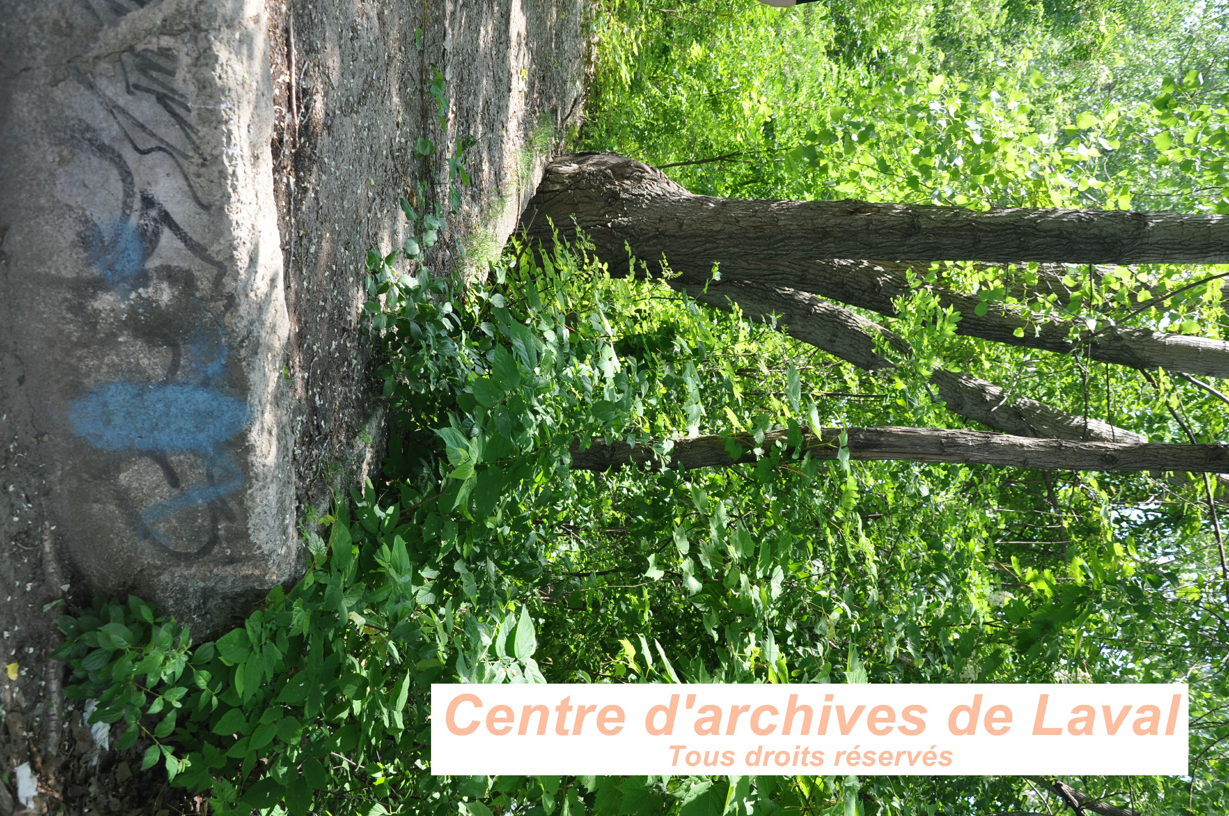 Photo de la dalle de bton de l'ancienne marina  Laval Ouest. Photo prise lors d'une visite guide, offerte aux employs et bnvoles du CAL et de la SHGIJ. Le tour tait anim par Franois Pilon le 6 juin 2024.