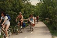 Randonnée cycliste. Quelques participants sur leur vélo sur une piste cyclable en forêt. [1987]