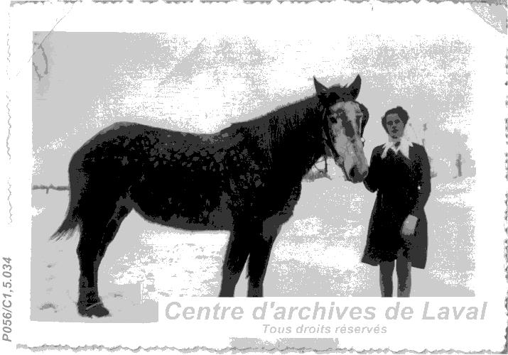 Femme tenant un cheval.