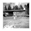 Un enfant est accroupi devant un chalet en bois rond d'o part une vole de marches en direction de la berge du lac. Annes 1950-1960. Dcor automnal. Tirage photographique; n&b.