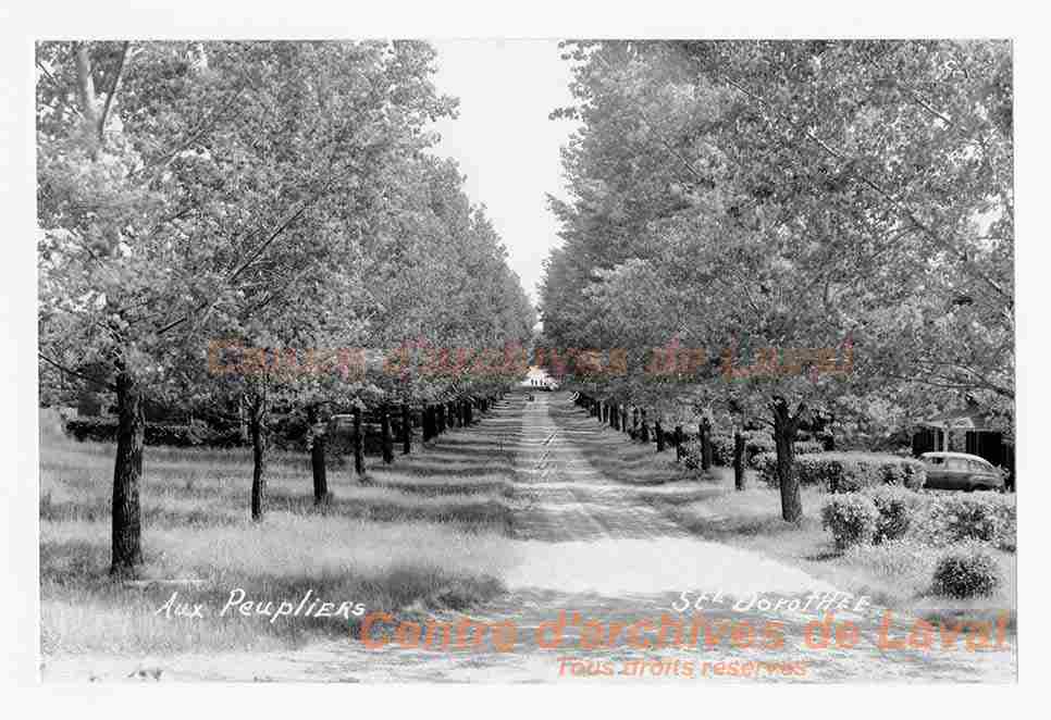 Chemin du domaine Aux Peupliers  Sainte-Dorothe