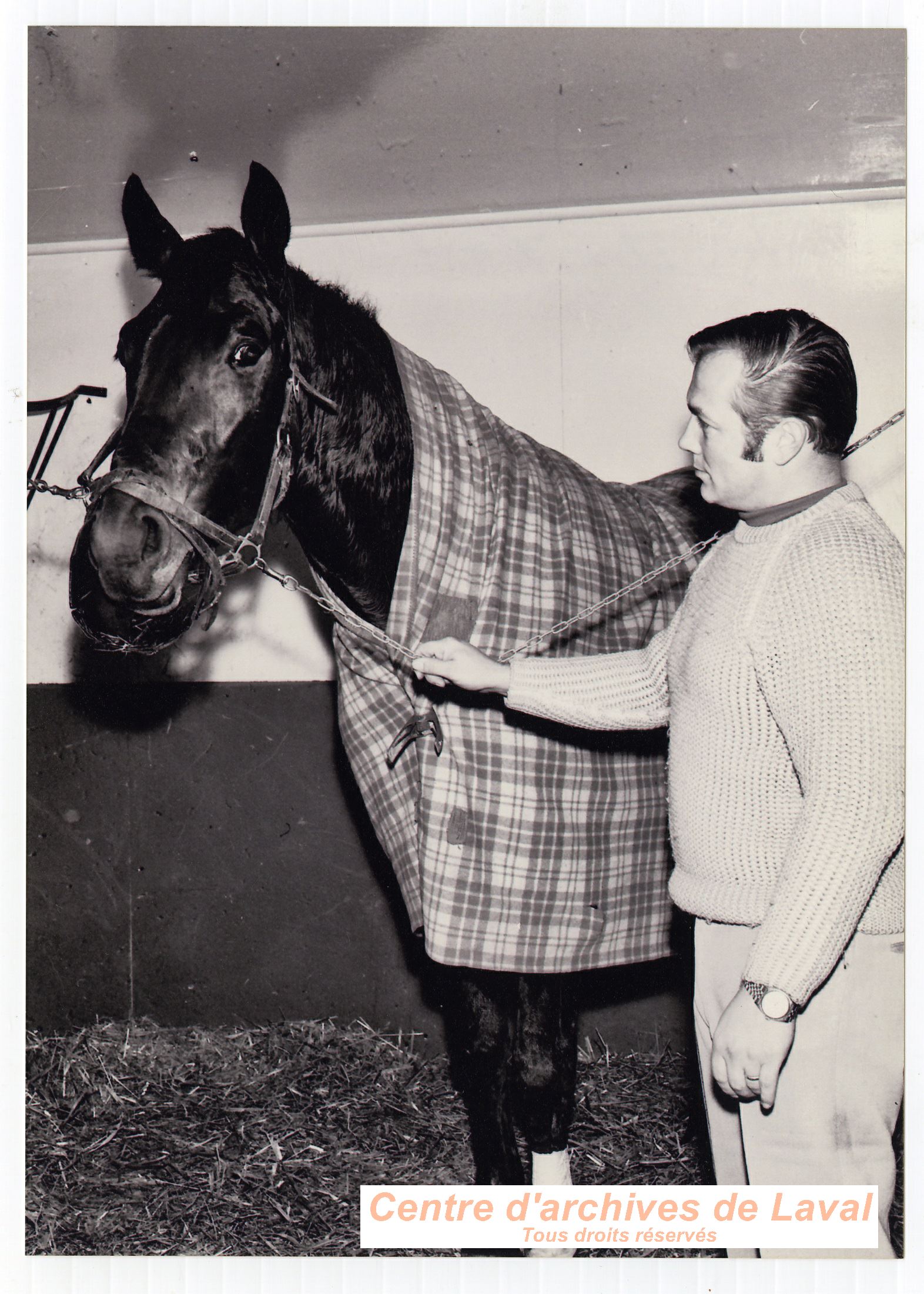 Le conducteur de course sous harnais Gilles Lachance accompagn d'un de ses chevaux de course  Saint-Benot en 1969.