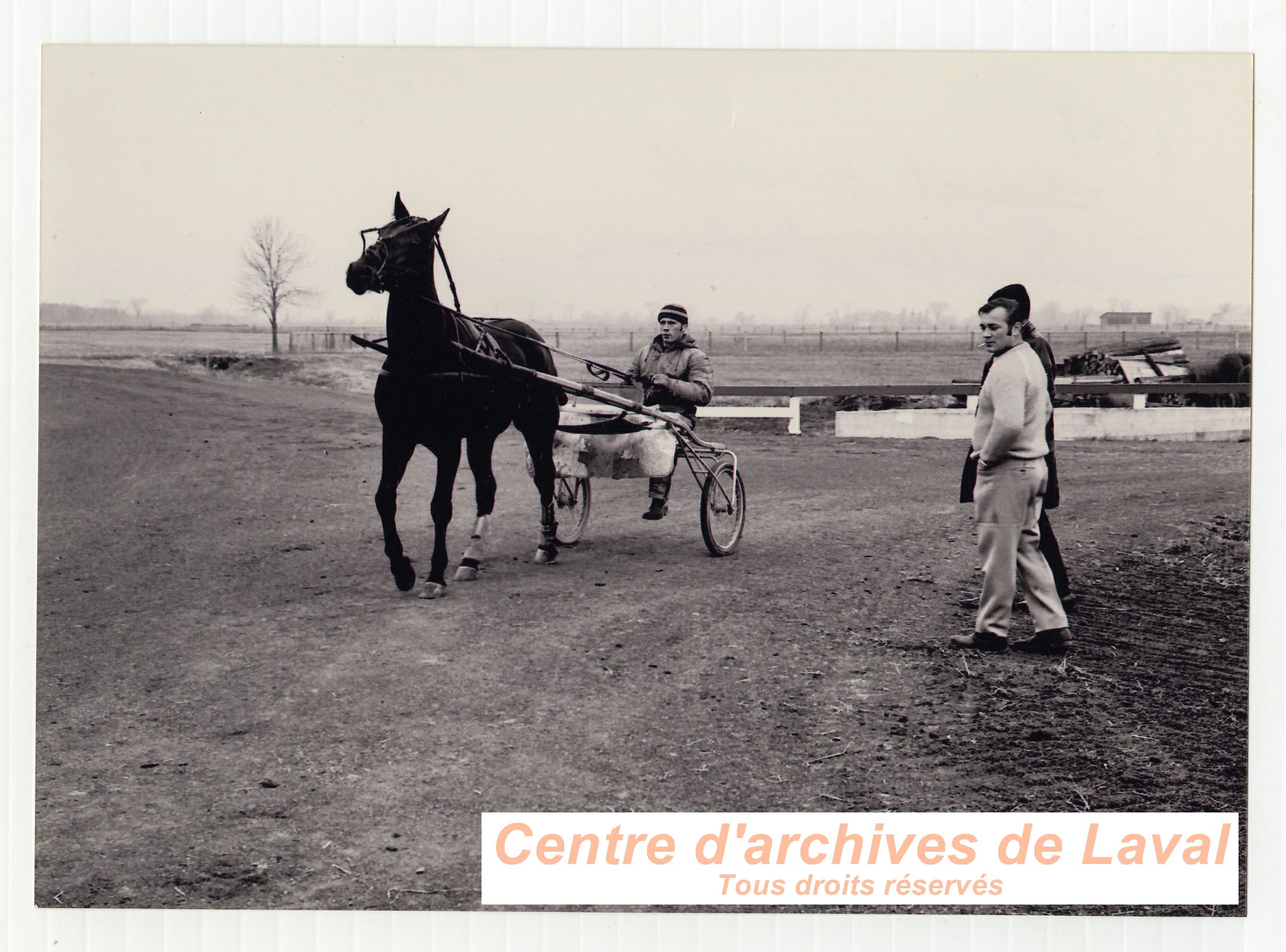 Gilles Lachance (debout,  gauche) regardant une pratique de courses de chevaux  son curie  Saint-Benot en 1969.