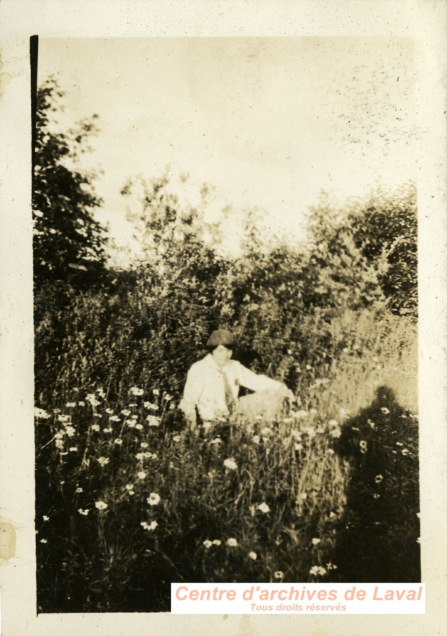 Portrait de femme