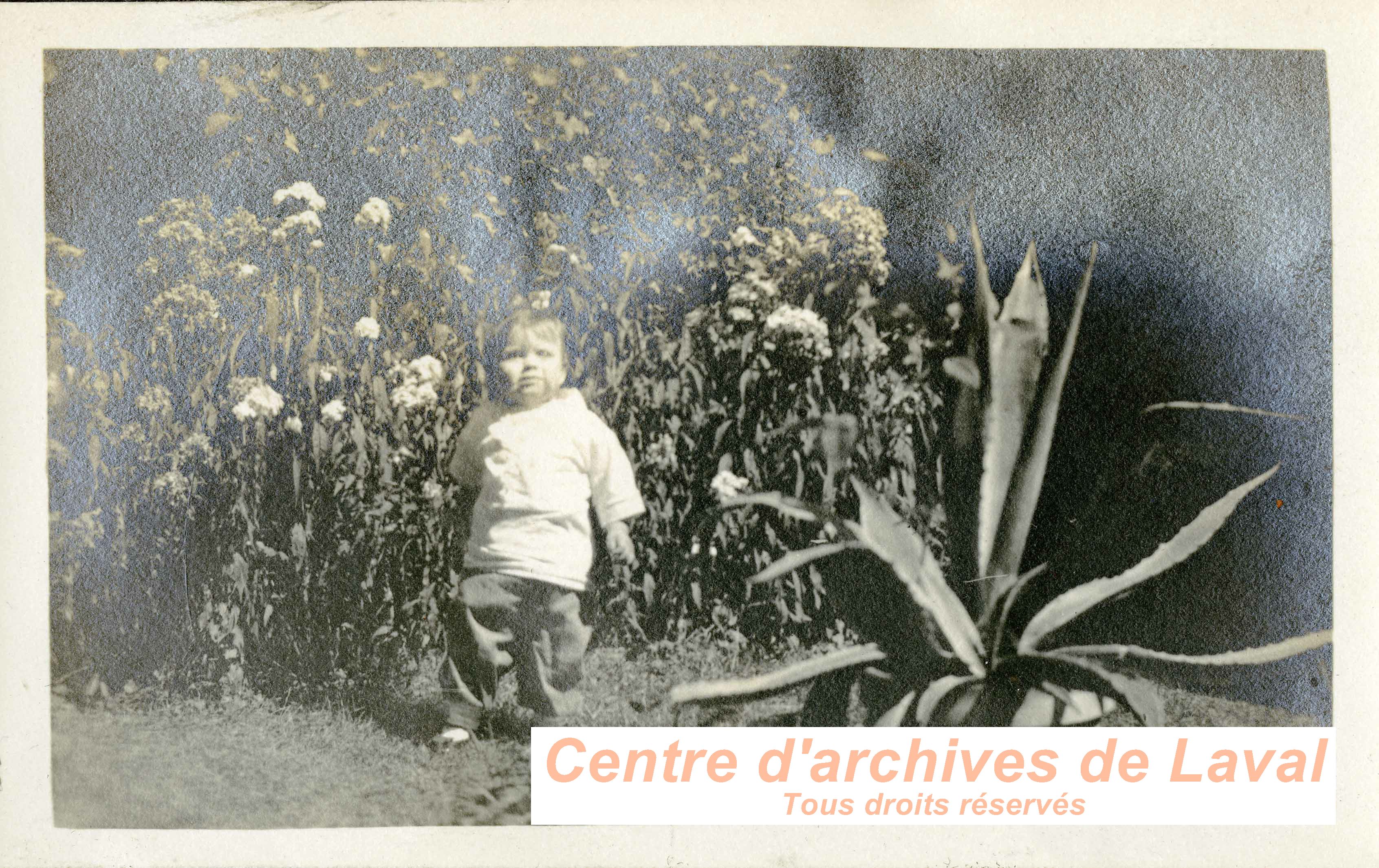 Enfant dans un jardin.