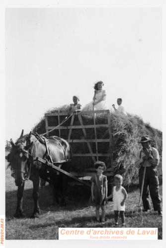 Travaux  la ferme